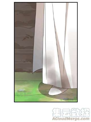 毒步天下：特工神医小兽妃345