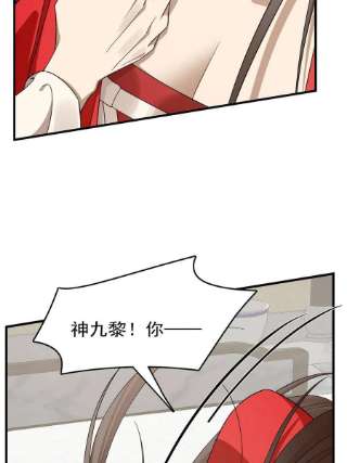 毒步天下：特工神医小兽妃347