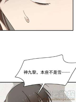 毒步天下：特工神医小兽妃347