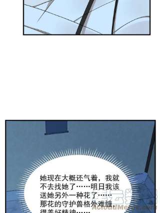毒步天下：特工神医小兽妃348