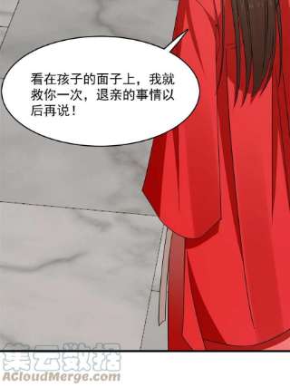 毒步天下：特工神医小兽妃348