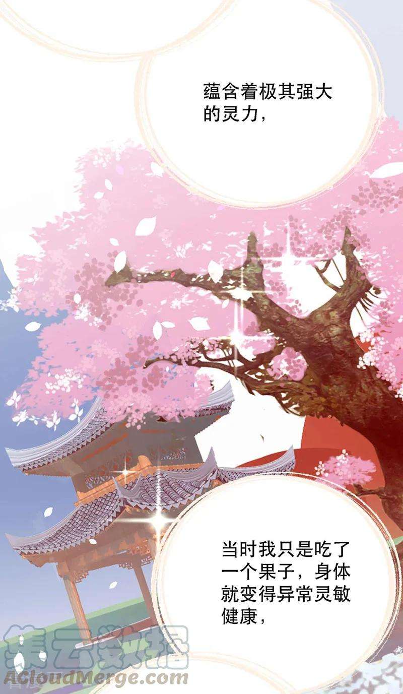 重生空间：豪门辣妻不好惹第351话 不对…你不是她！