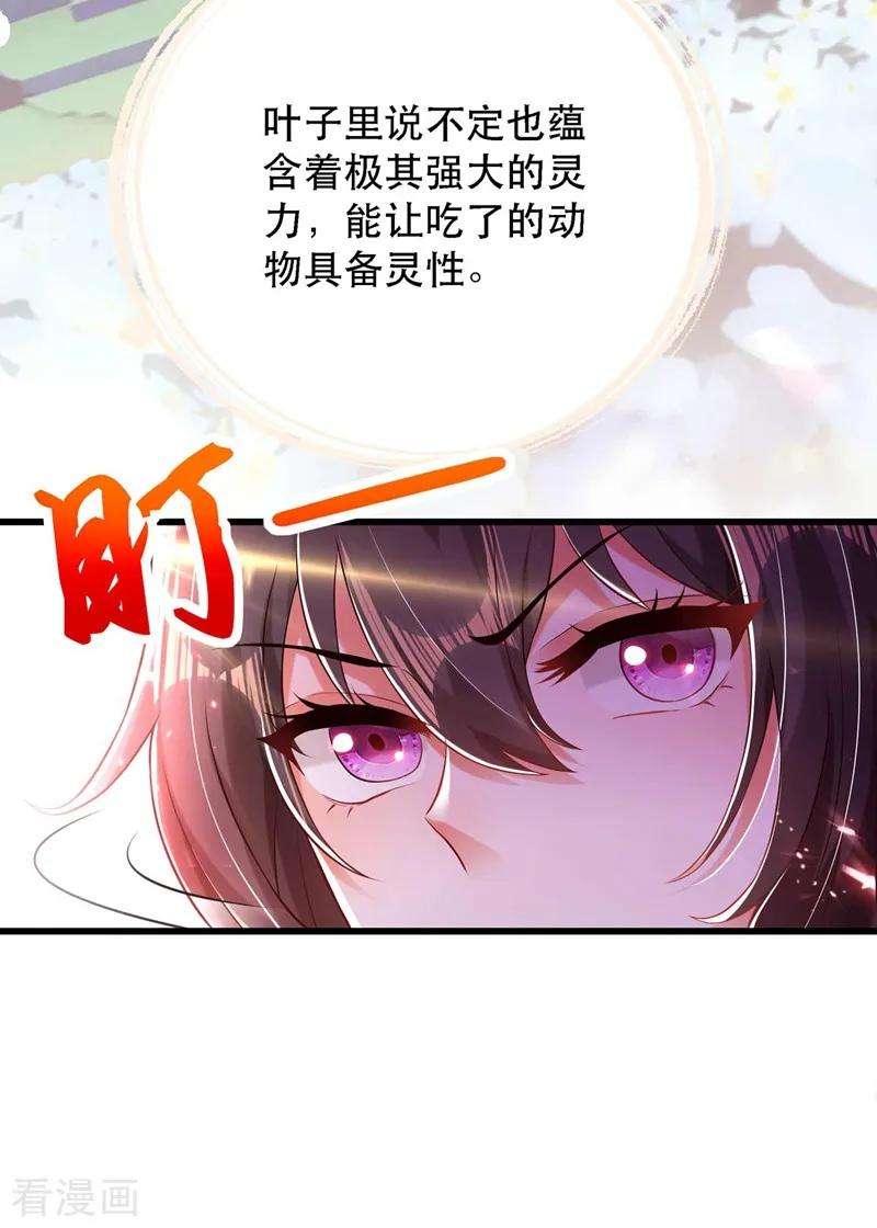 重生空间：豪门辣妻不好惹第351话 不对…你不是她！
