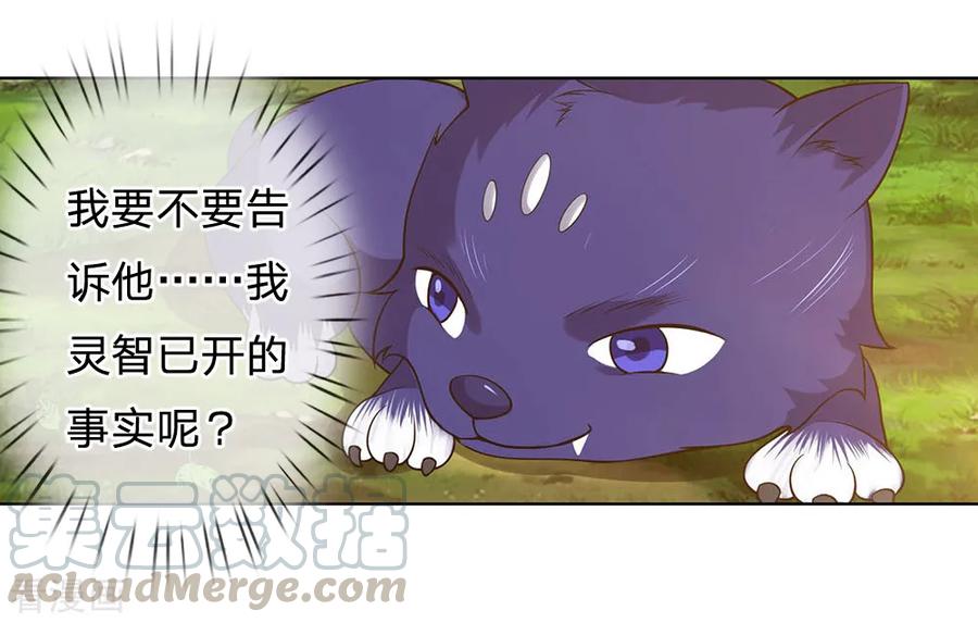 神武天尊第496话 这一切都是你的算计？