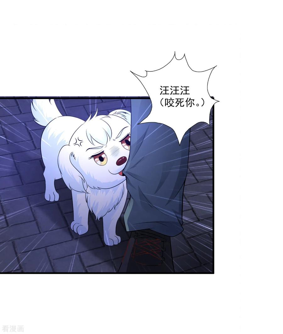 最强桃花运第281话 尴尬的相遇