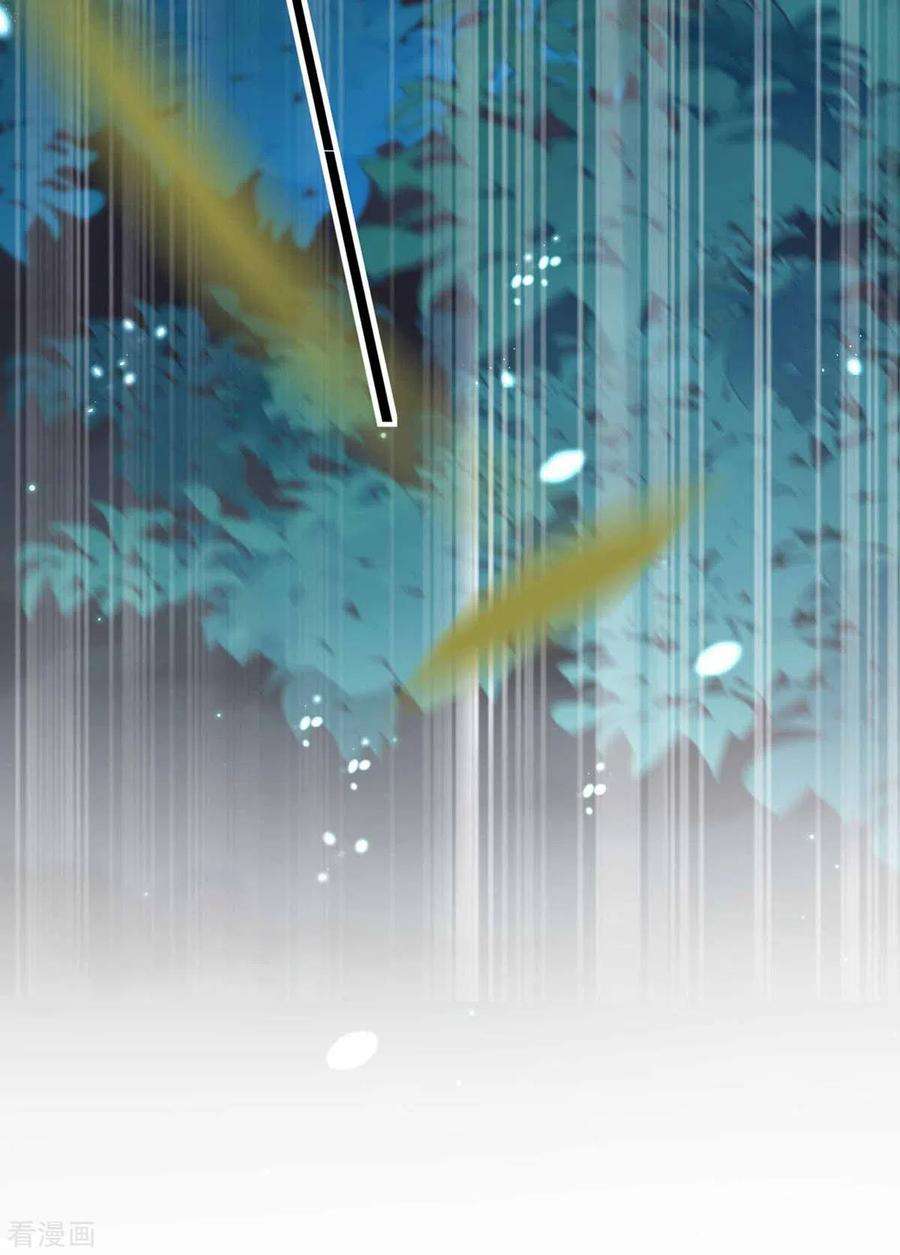 我在异界养男神：神医九小姐第169话 云乔胜出