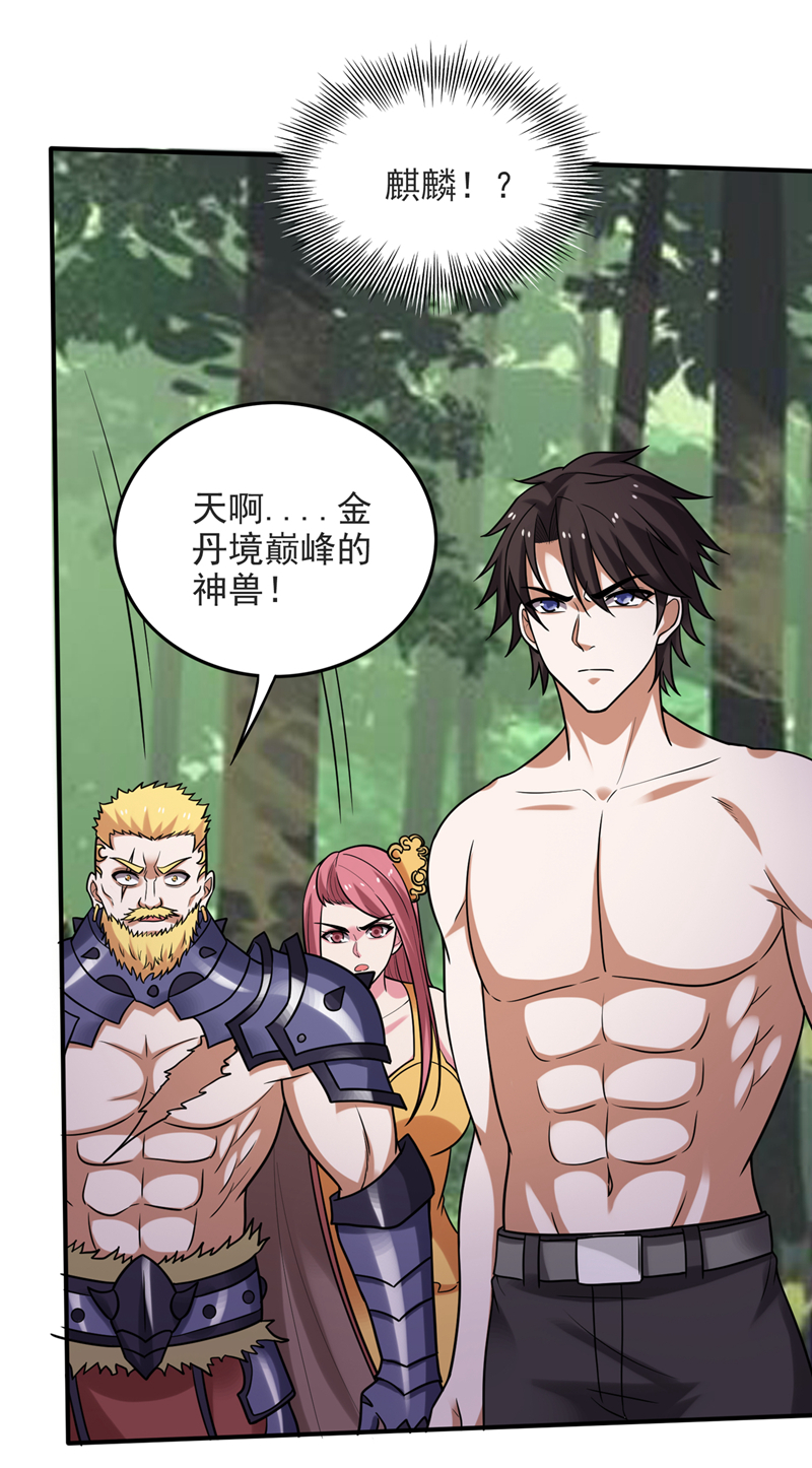 最强神医混都市第301话 禹皇遗物？！