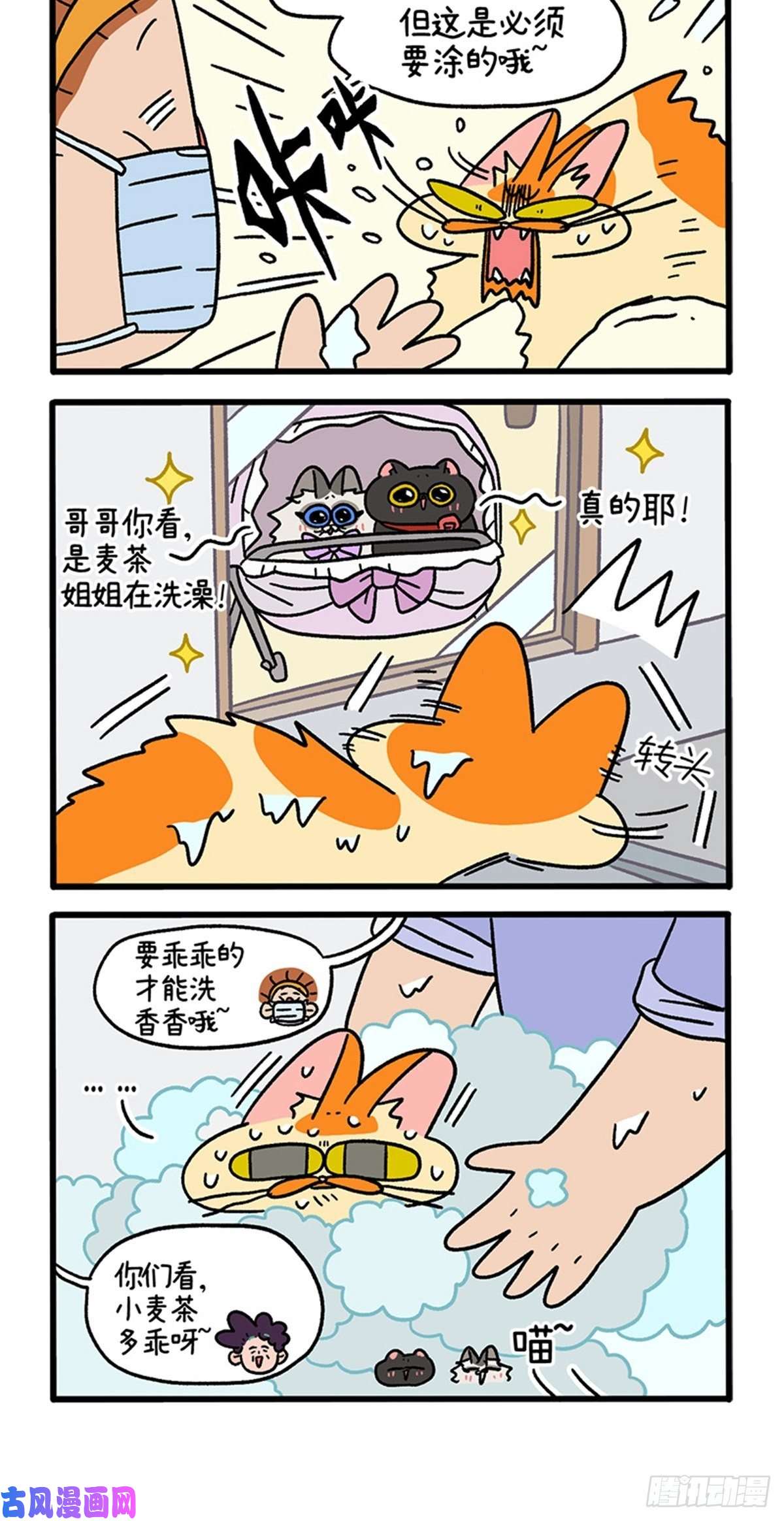 阿满和麦茶第88话1 阿狗的监护权