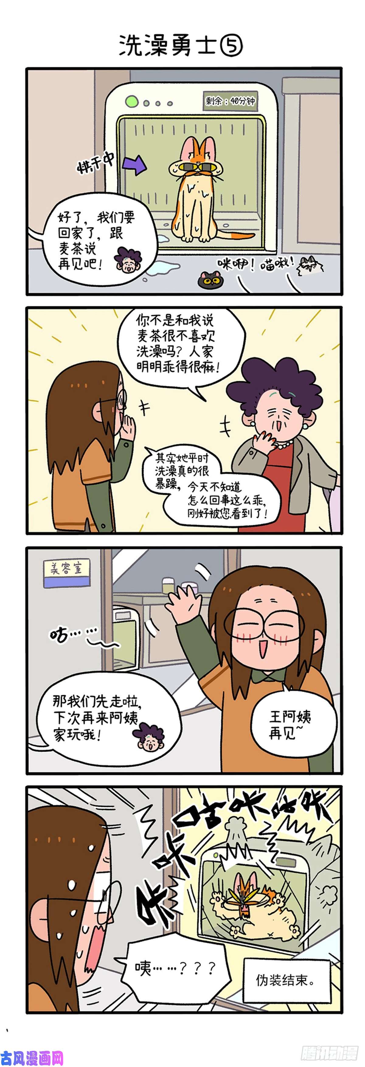 阿满和麦茶第88话1 阿狗的监护权