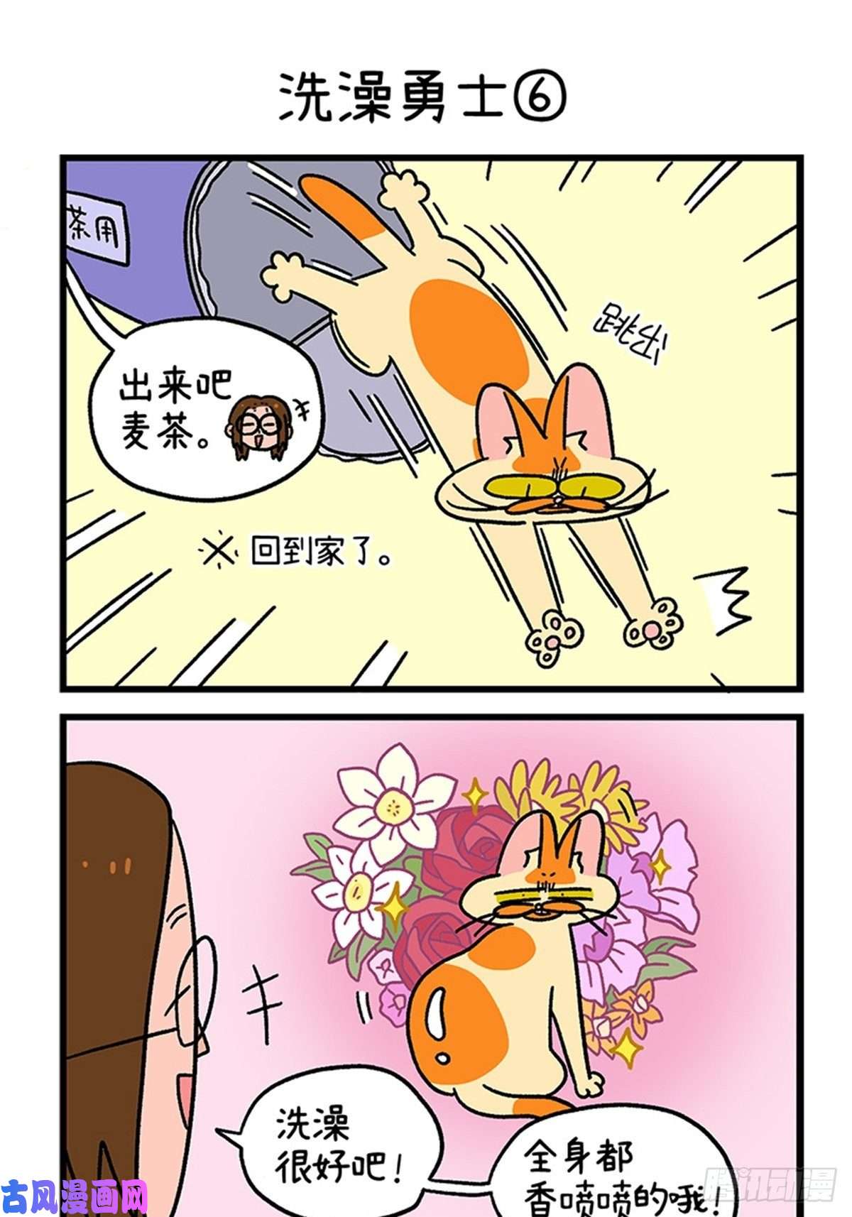 阿满和麦茶第88话1 阿狗的监护权
