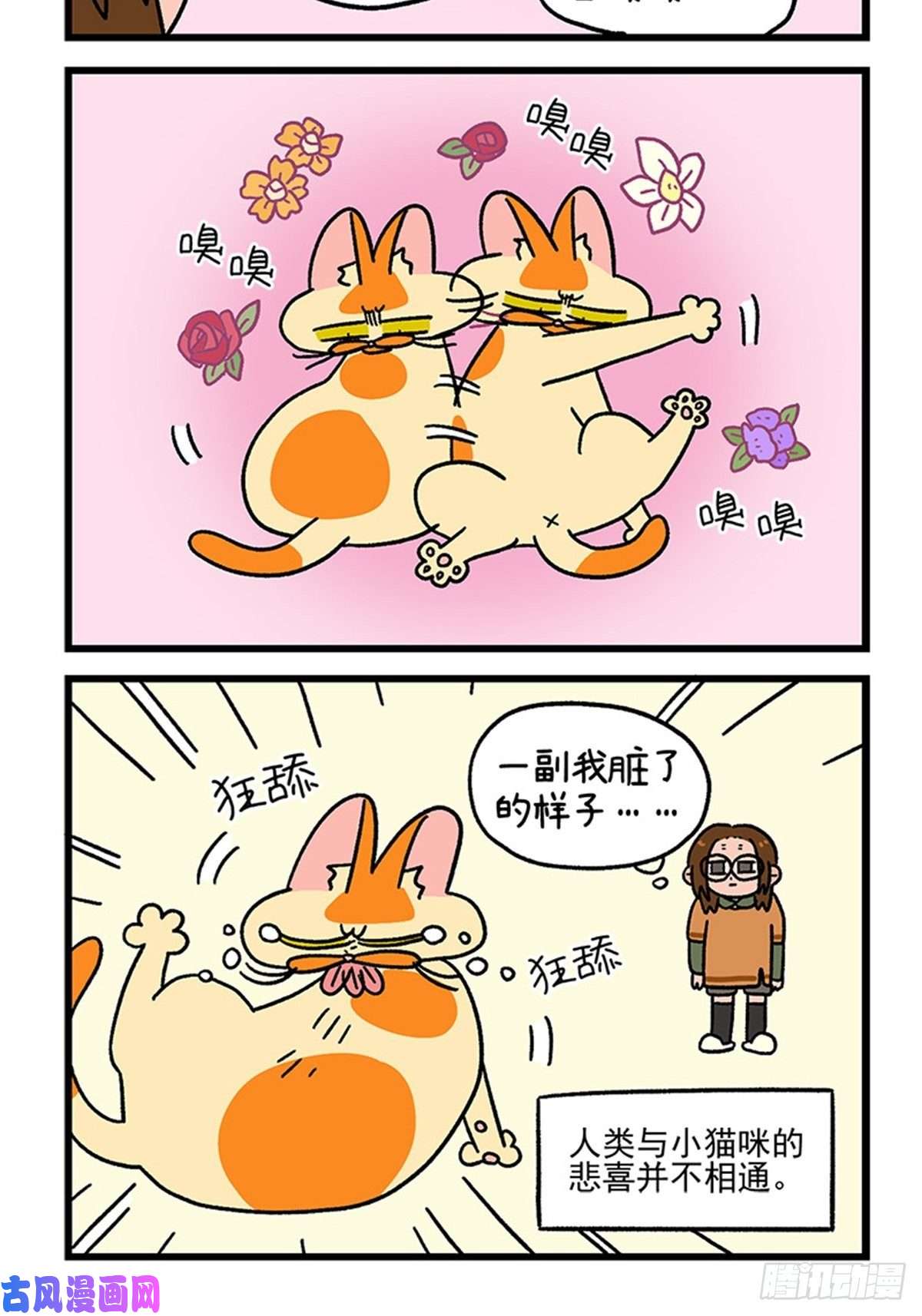阿满和麦茶第88话1 阿狗的监护权