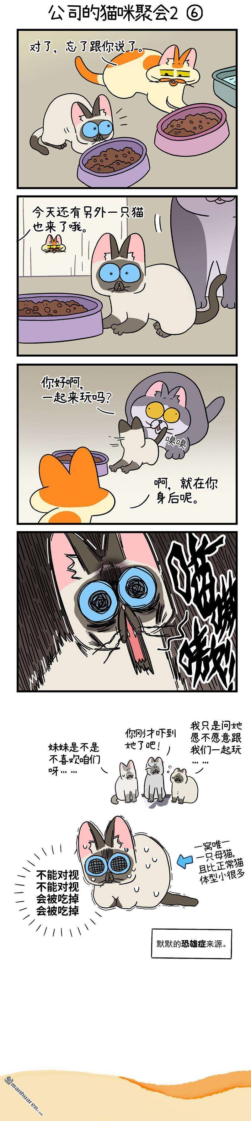 阿满和麦茶第106话2 助攻（下）