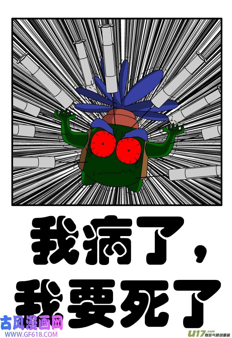 呆呆和瓜瓜呆呆捐款