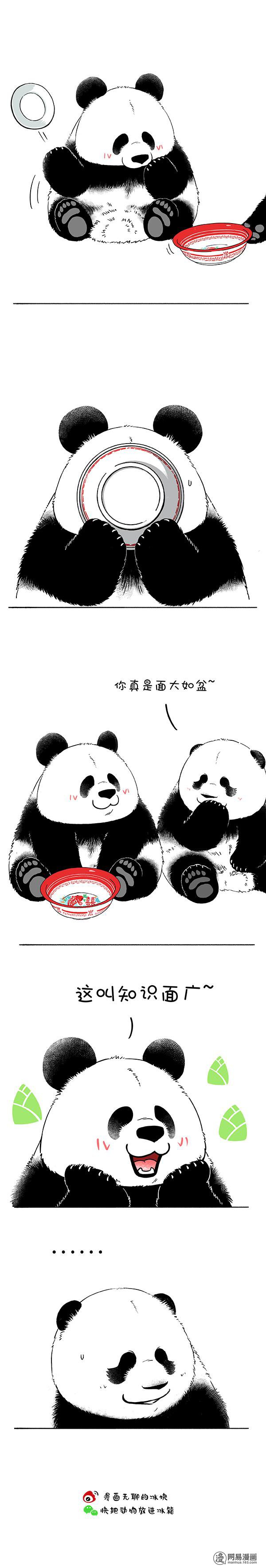 快把动物放进冰箱33518080857797