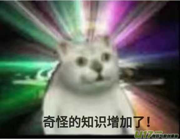 喵来自江湖第十九回
