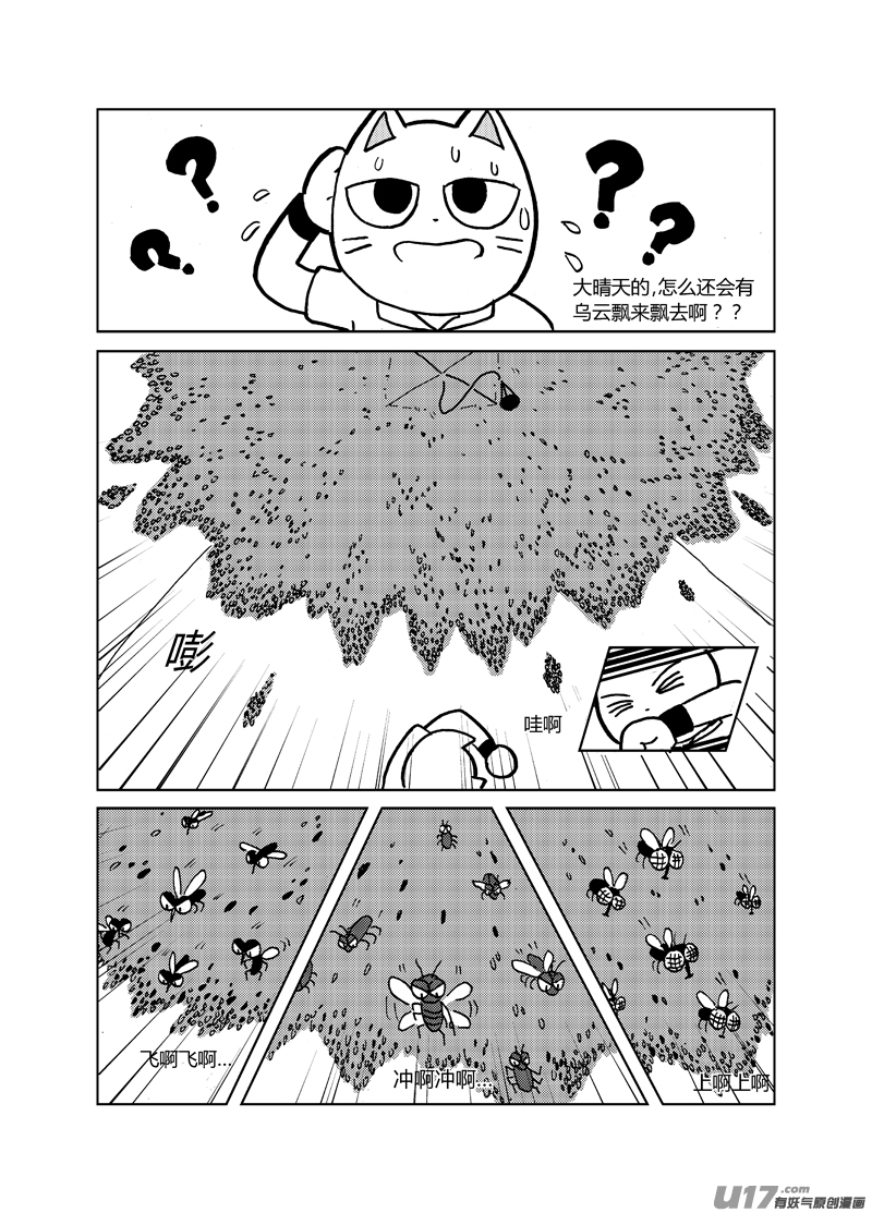 喵来自江湖第十九回