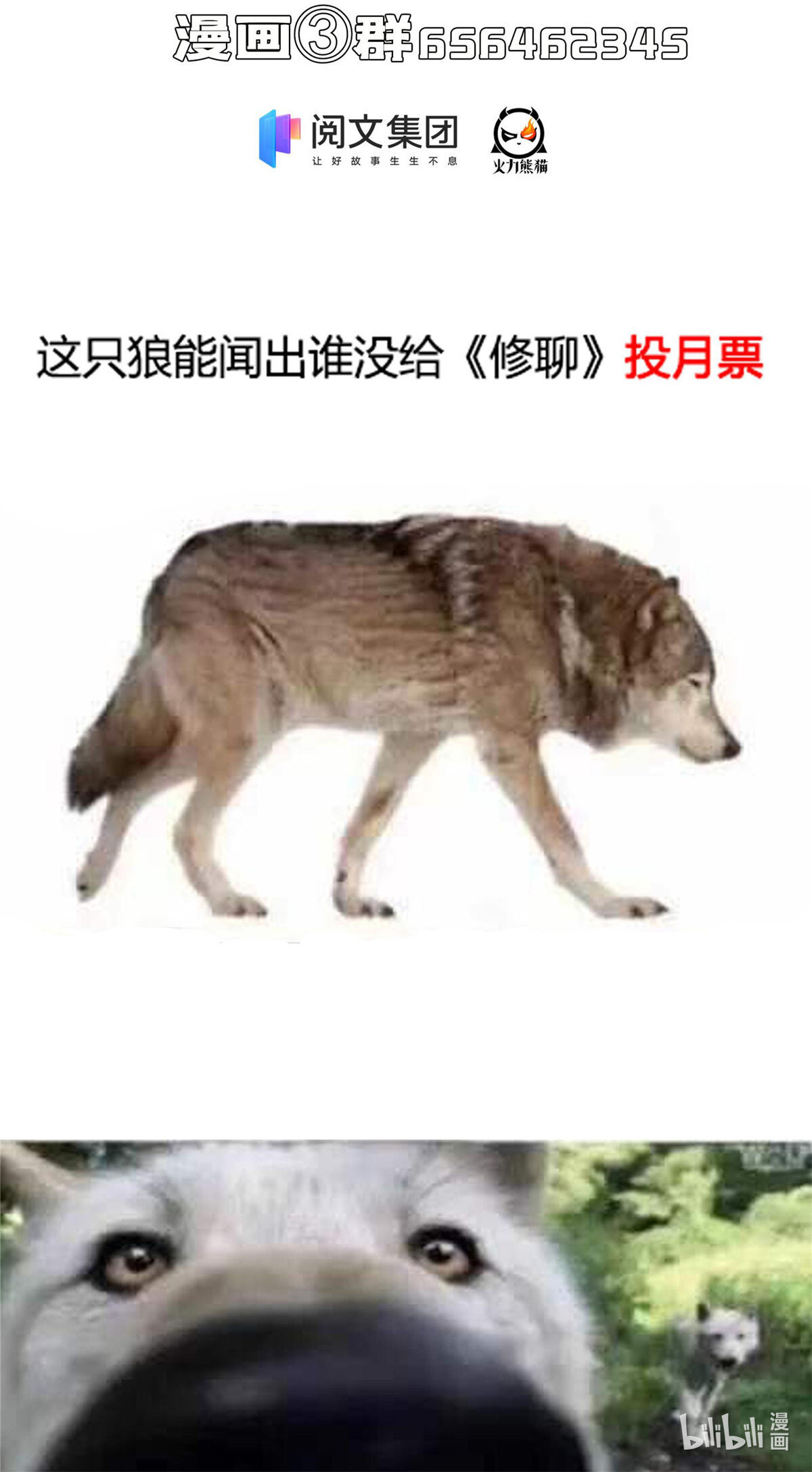 修真聊天群第498话 霸霸号是什么鬼？