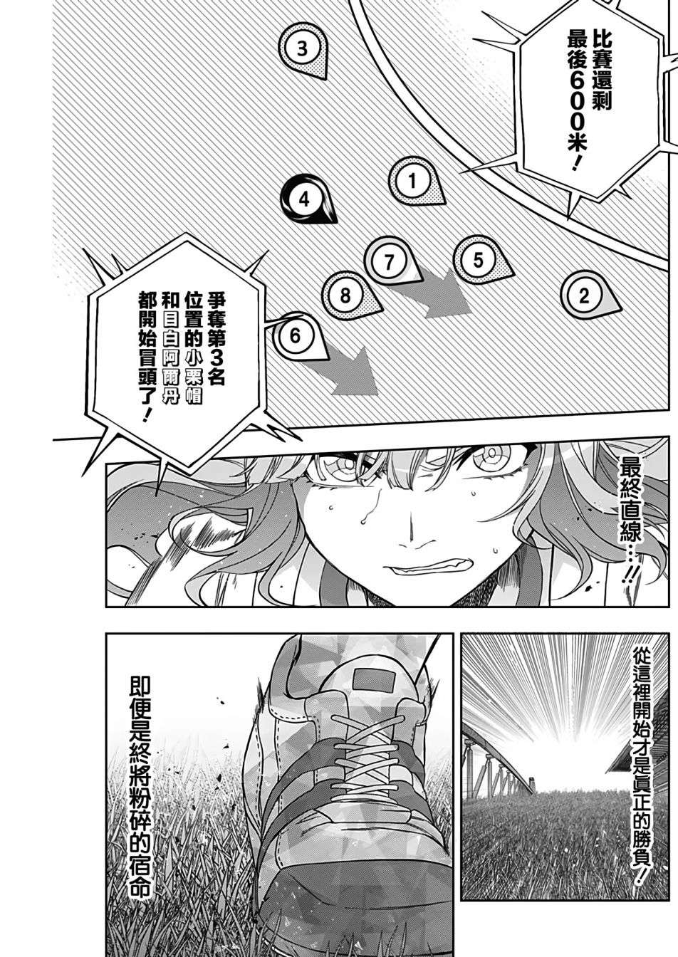 赛马娘：芦毛灰姑娘第86话