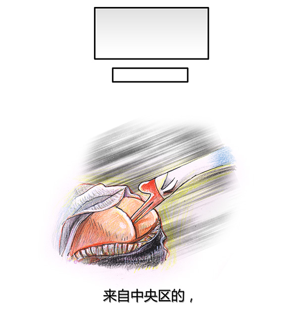 糖果法师15 地下图书馆II