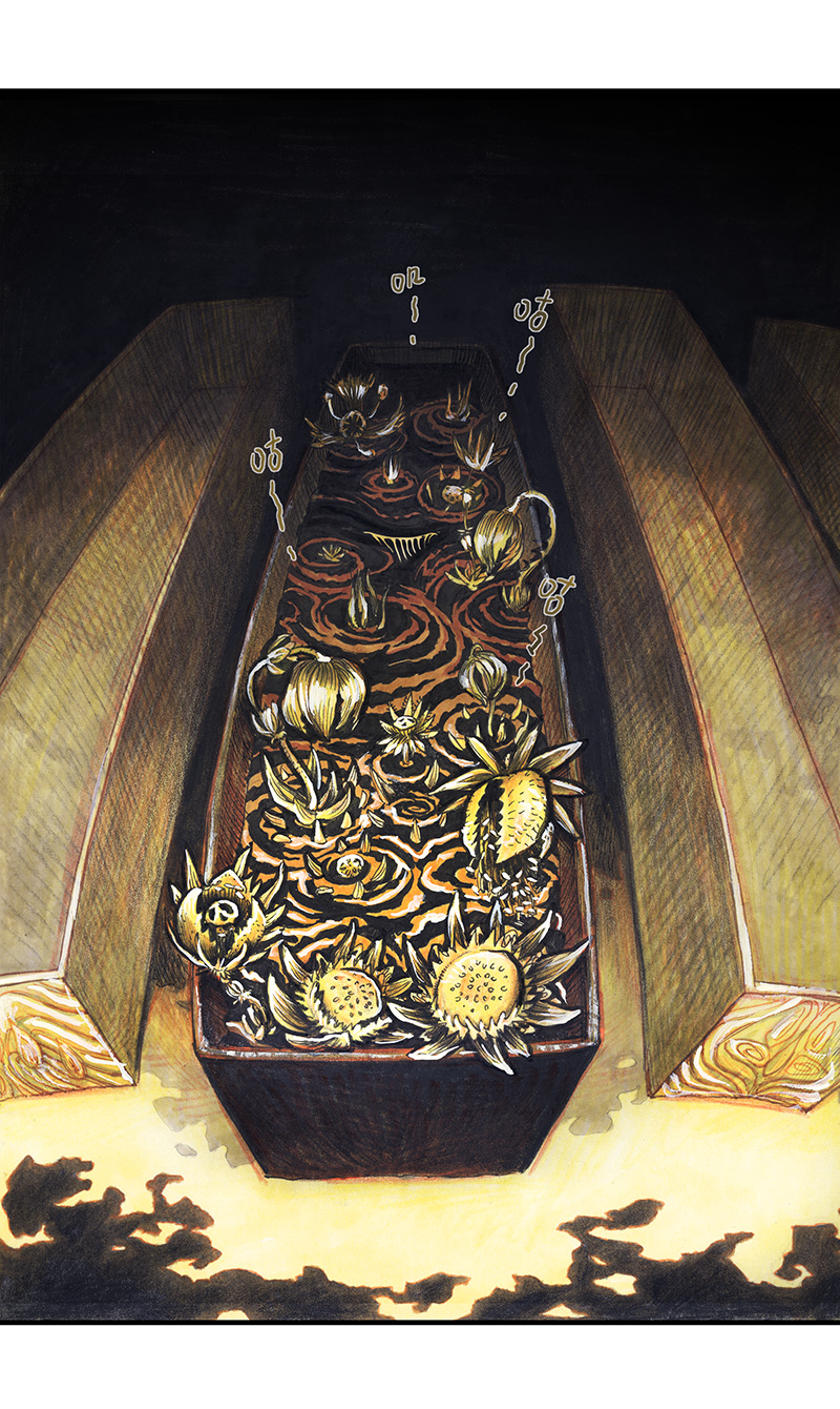 糖果法师25 大预言家