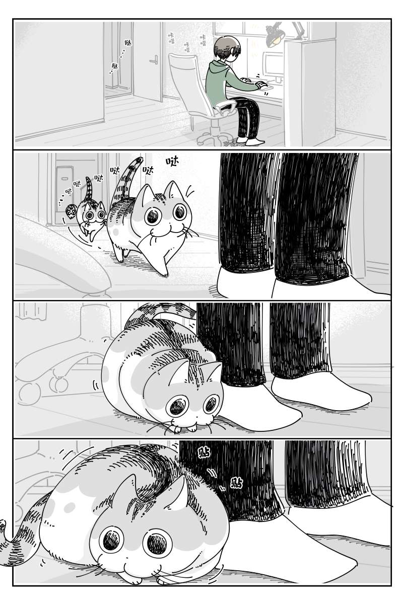 关于养猫我一直是新手第125话