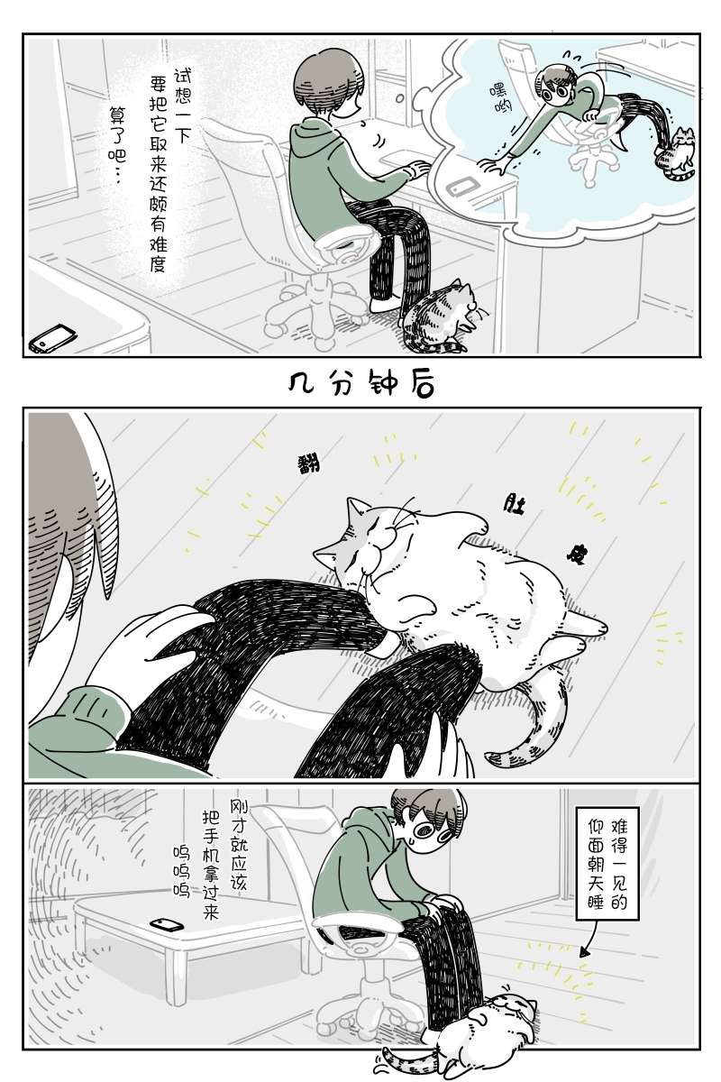 关于养猫我一直是新手第125话