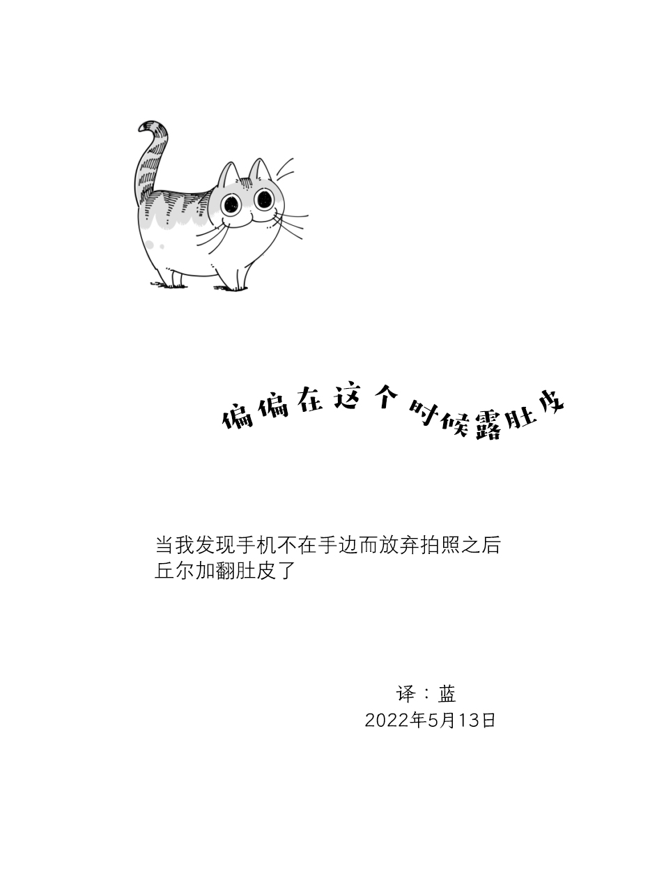 关于养猫我一直是新手第125话