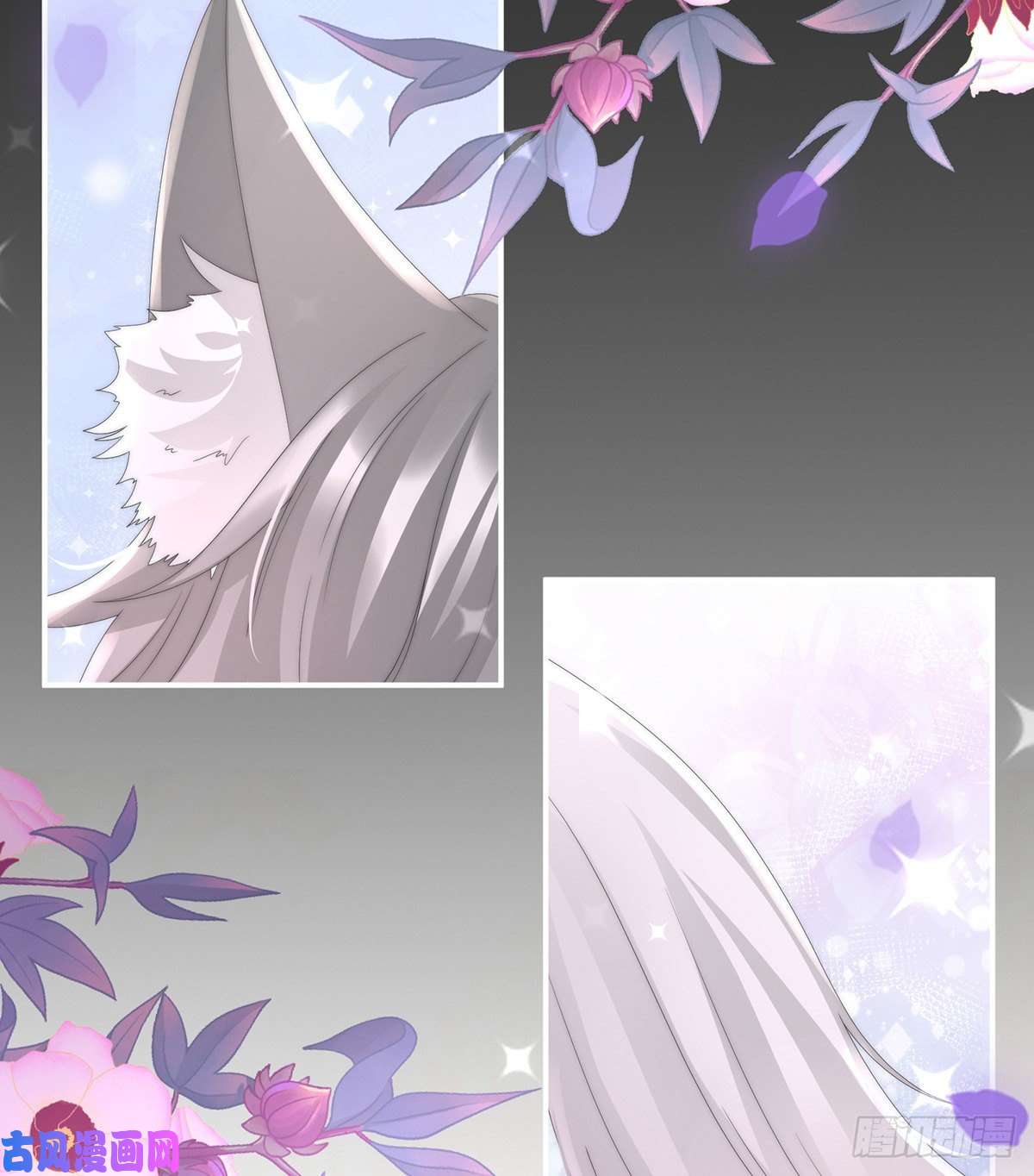 妻主，请享用第26话 可怜的小毛团