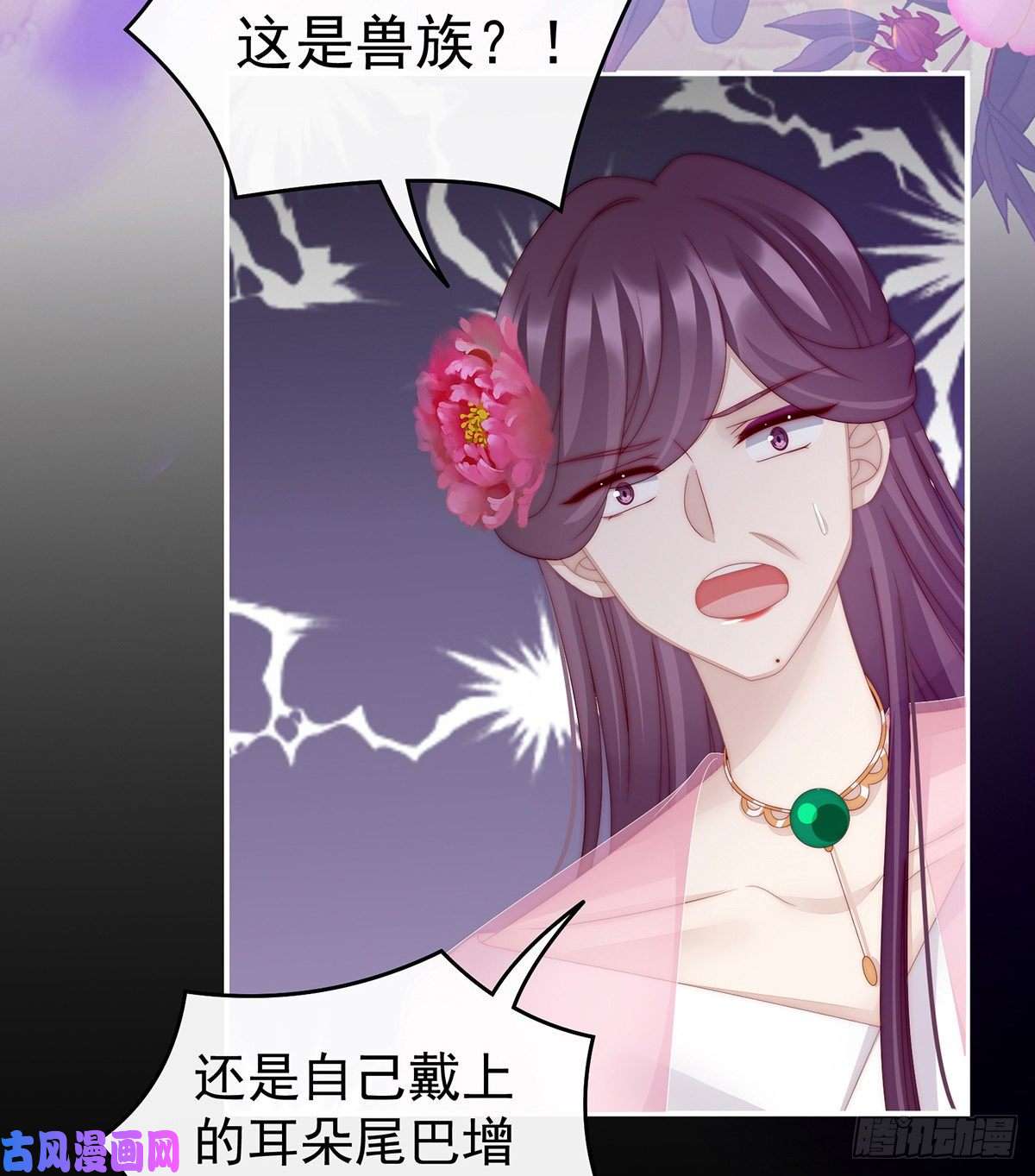 妻主，请享用第26话 可怜的小毛团