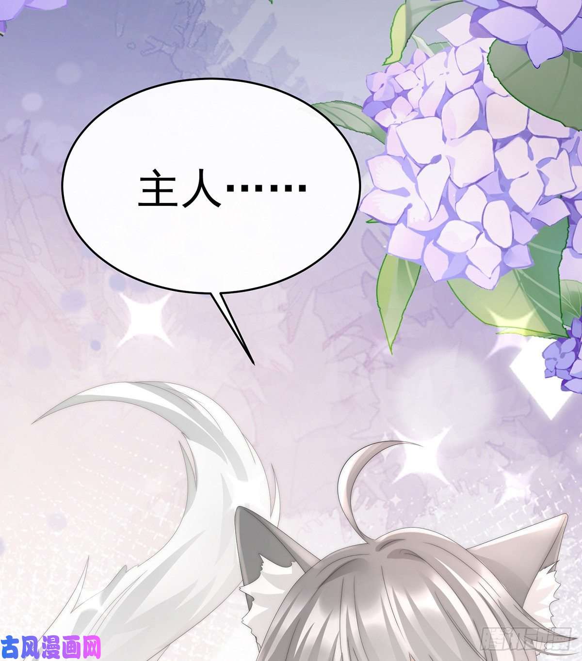 妻主，请享用第26话 可怜的小毛团