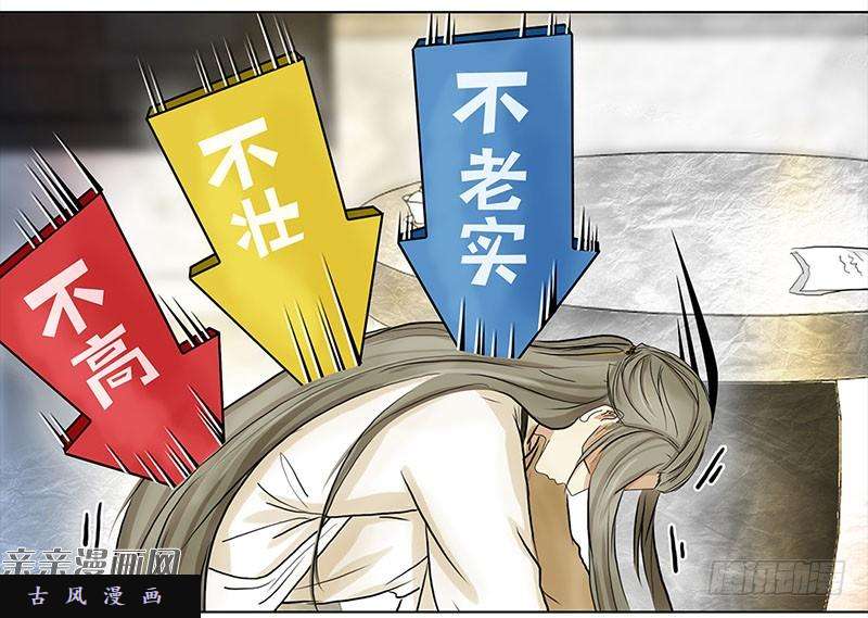 穿越之哑巴王爷026 提亲（2）