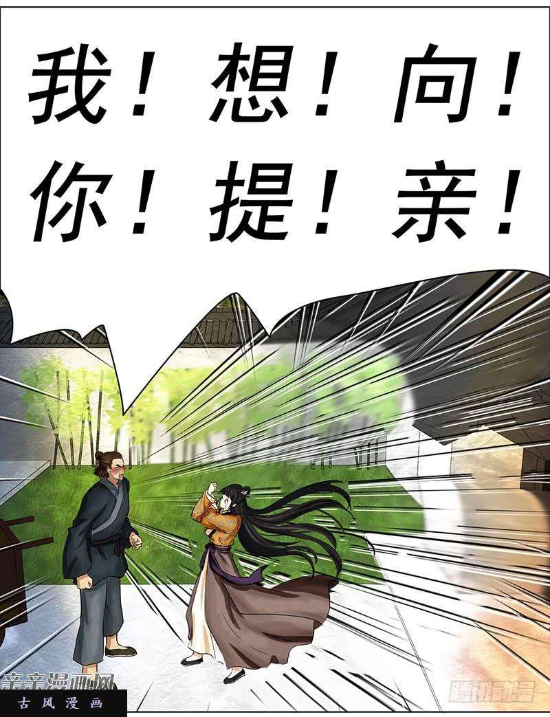 穿越之哑巴王爷027 提亲（3）