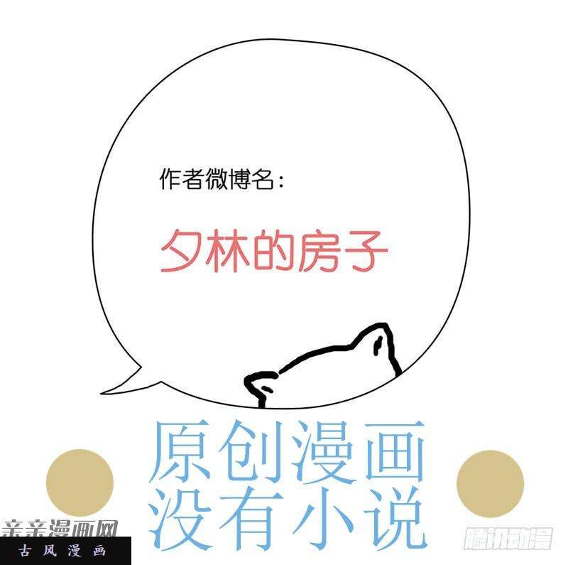 穿越之哑巴王爷027 提亲（3）