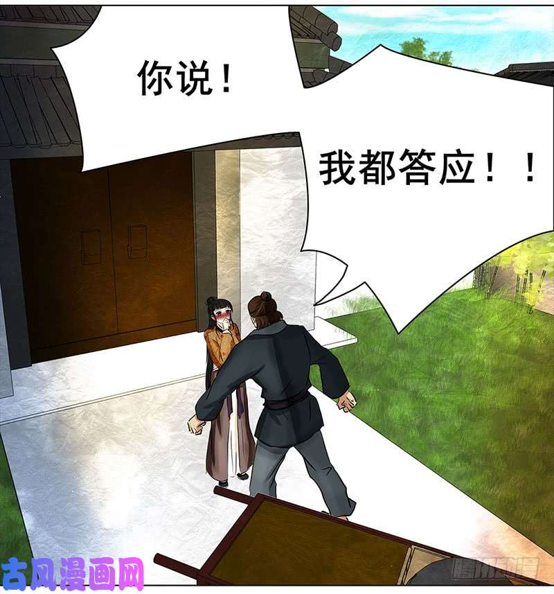 穿越之哑巴王爷028 提亲（4）