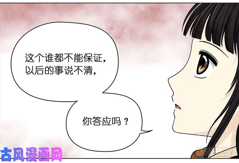 穿越之哑巴王爷028 提亲（4）