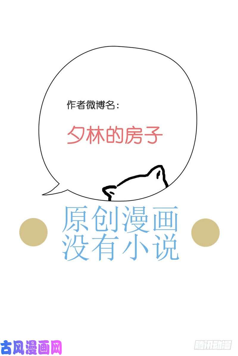 穿越之哑巴王爷028 提亲（4）