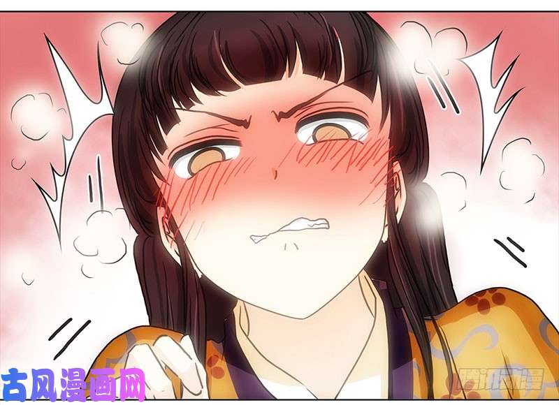 穿越之哑巴王爷028 提亲（4）