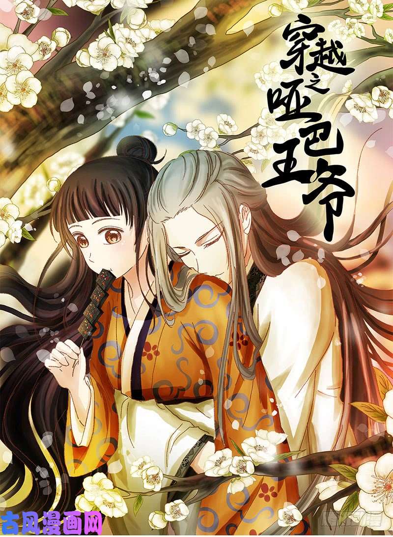 穿越之哑巴王爷032 被拒（3）
