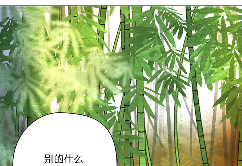 穿越之哑巴王爷034 阿佑的“聪明”（2）
