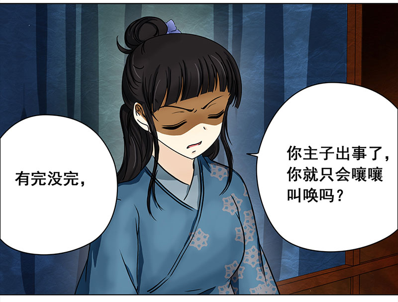 穿越之哑巴王爷078 赏花宴（3）