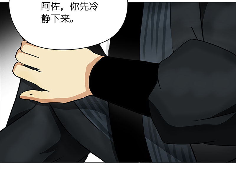 穿越之哑巴王爷078 赏花宴（3）