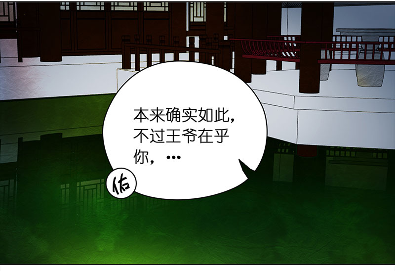 穿越之哑巴王爷091 付夫人（1）