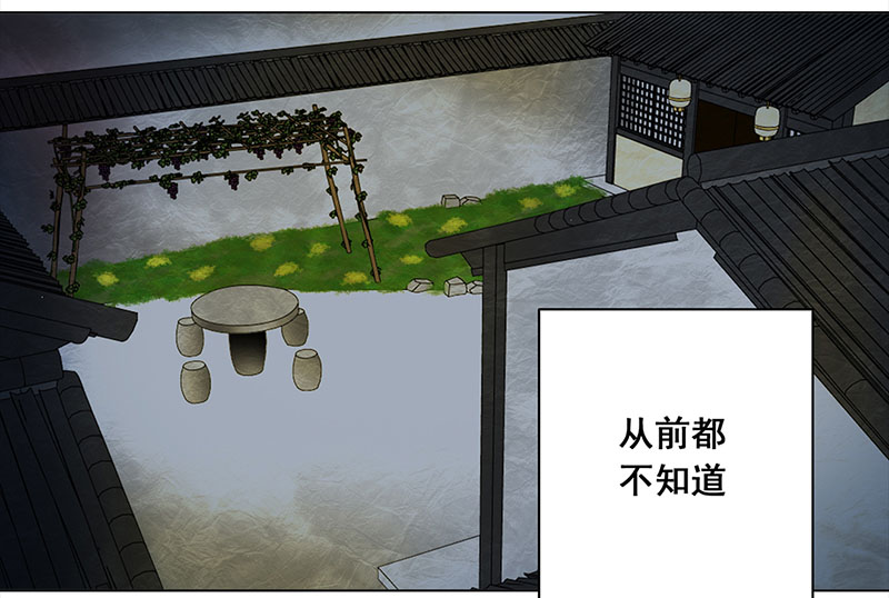 穿越之哑巴王爷092 付夫人（2）