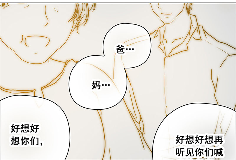 穿越之哑巴王爷092 付夫人（2）