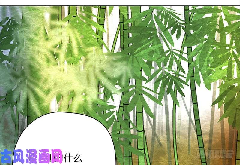 穿越之哑巴王爷119 面试（2）