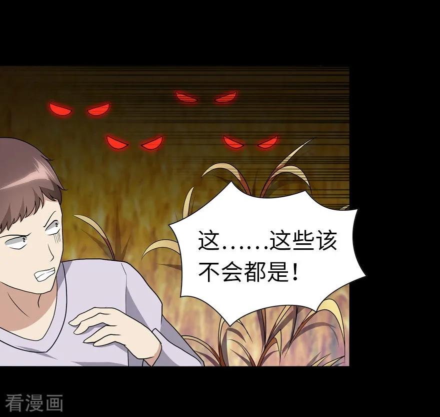 我的守护女友第351话
