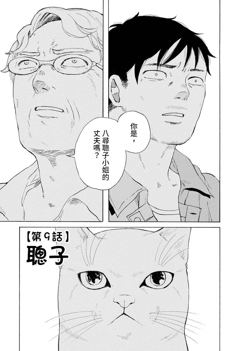 与猫随行第12.5话