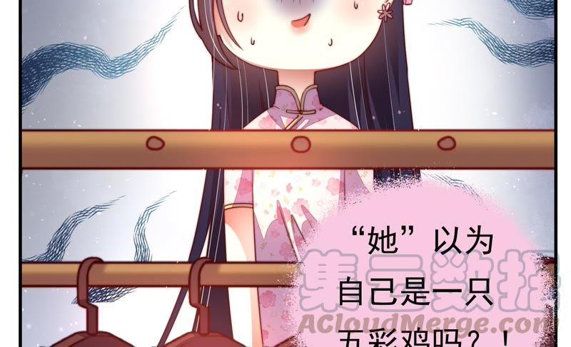 少帅每天都在吃醋第8话 初见