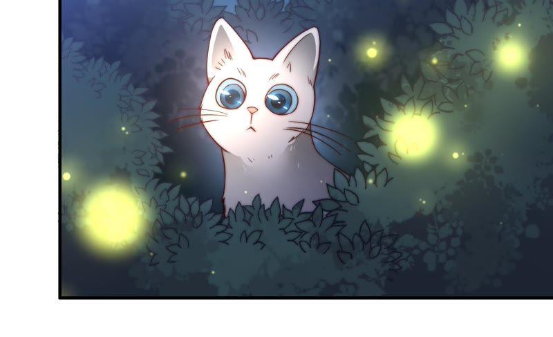 少帅每天都在吃醋第36话 来者不善