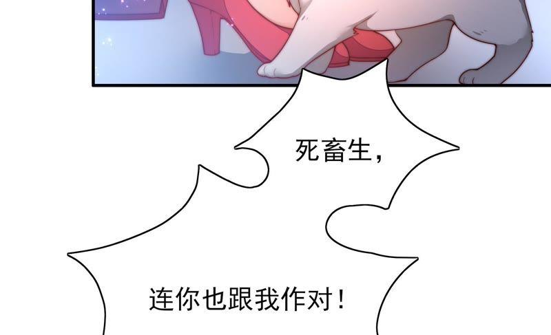 少帅每天都在吃醋第36话 来者不善